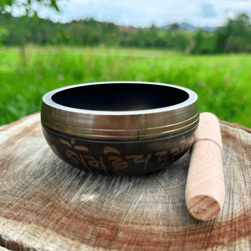 Stamny product EquiBowl™ 528Hz Healing Instrument + Bonuses