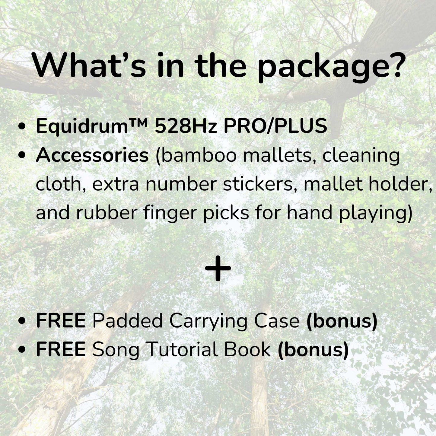 Stamny product Equidrum™ 528Hz with Accessories + Bonuses