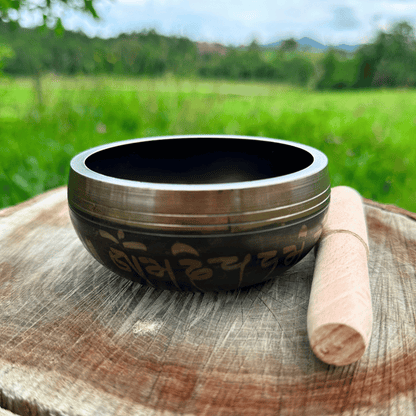 Stamny product EquiBowl™ 528Hz Healing Instrument + Bonuses