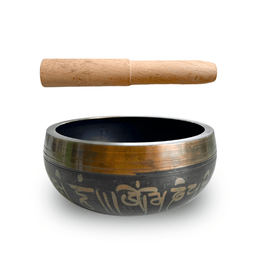 Stamny product EquiBowl™ 528Hz Healing Instrument + Bonuses