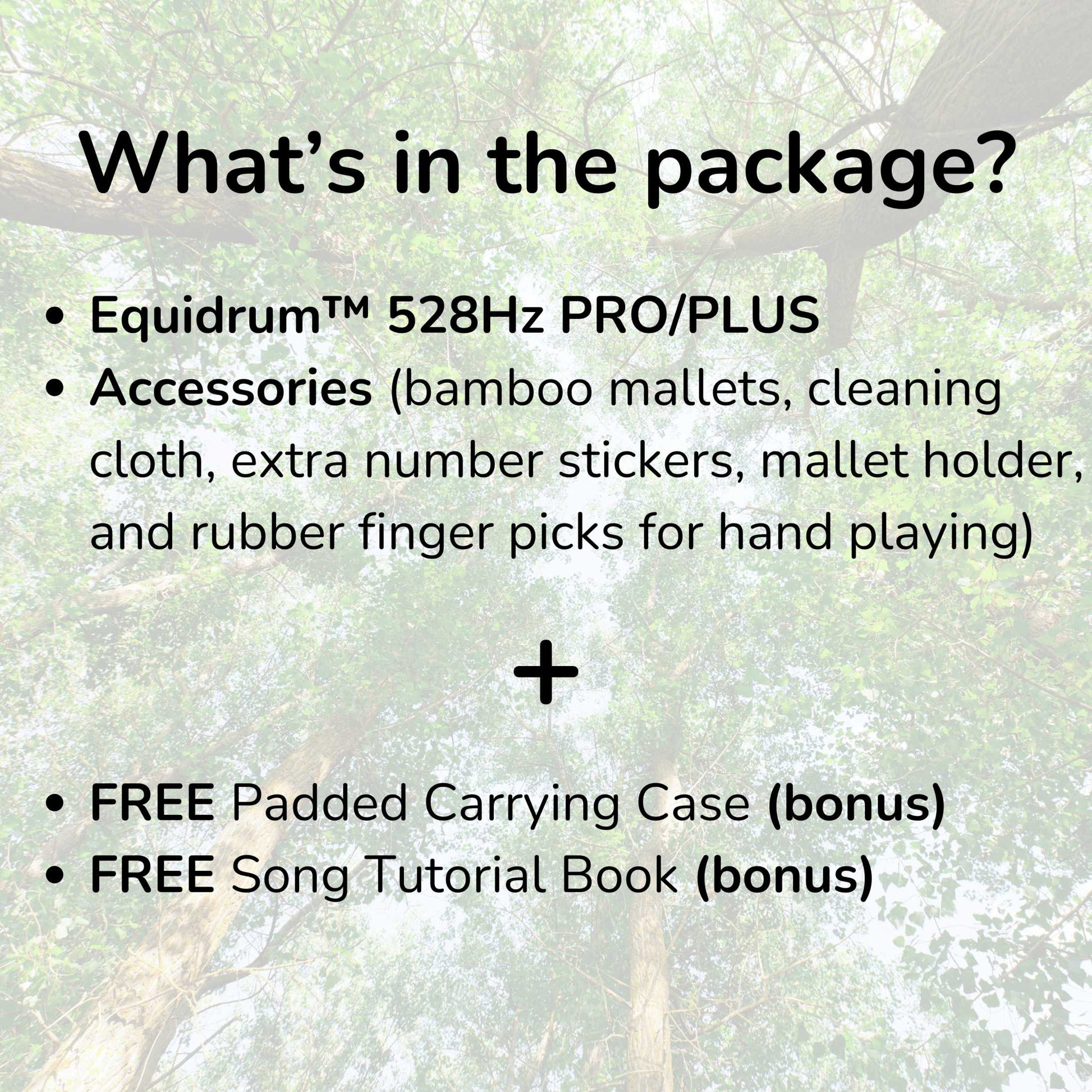 Stamny product Equidrum™ 528Hz with Accessories + Bonuses