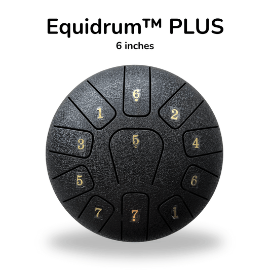Stamny product PLUS (6 inch) Equidrum™ 528Hz with Accessories + Bonuses