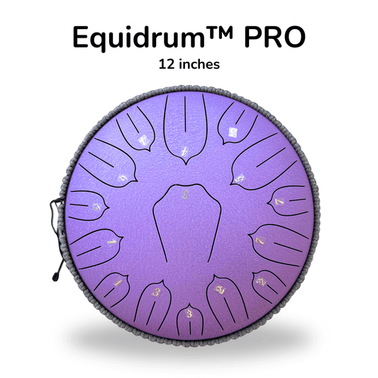 Stamny product PRO (12 inch) Equidrum™ 528Hz with Accessories + Bonuses